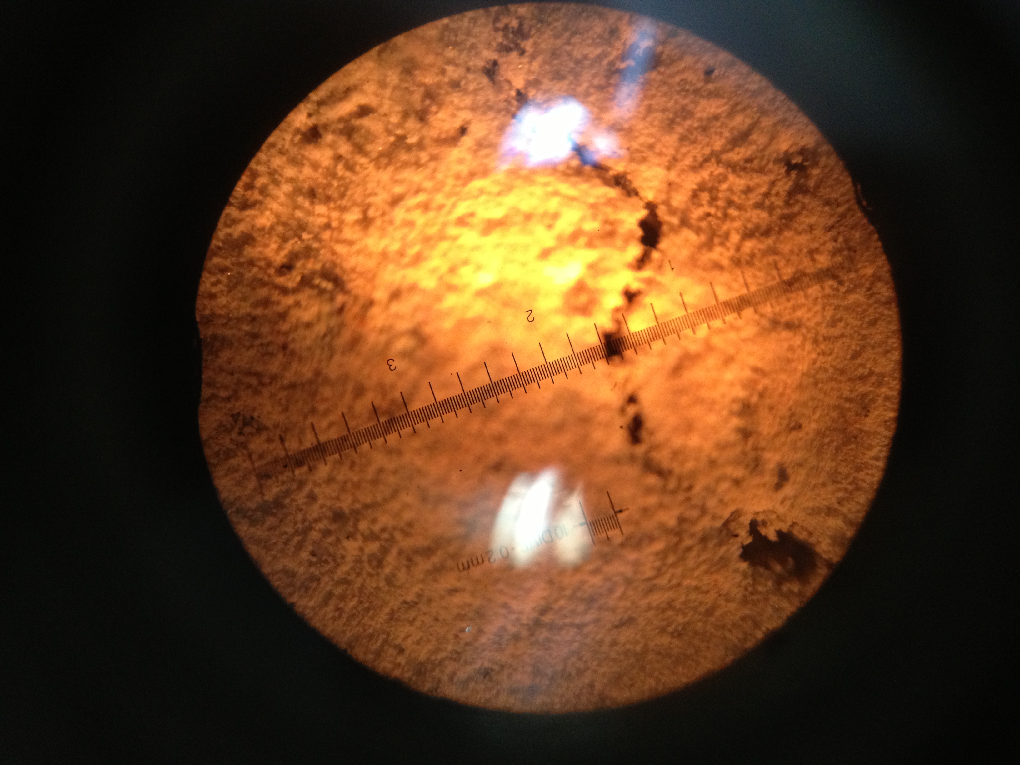 Initial corrosion crack widths (W/C: 0.63) — image 6