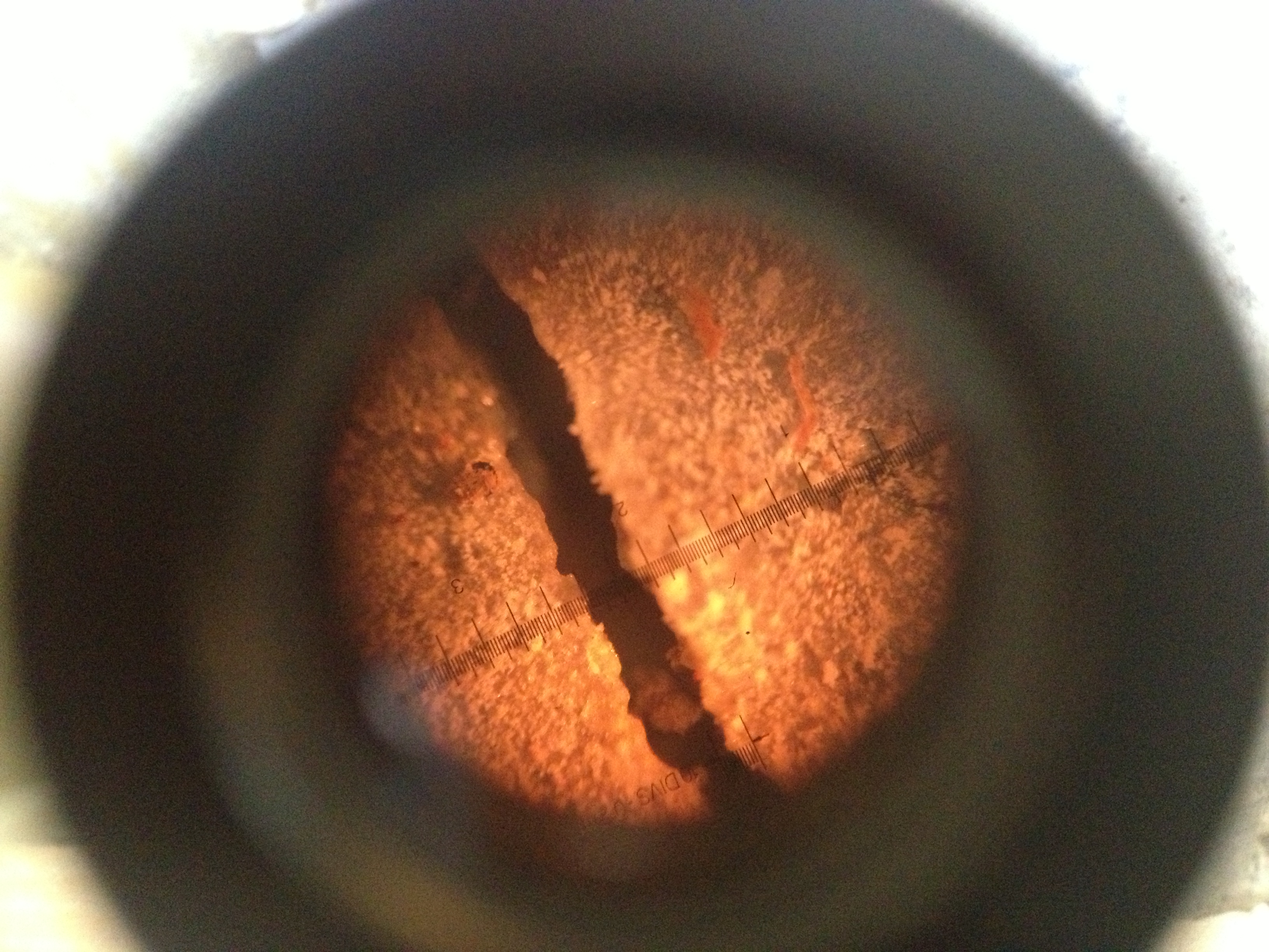Initial corrosion crack widths (W/C: 0.79) — image 11