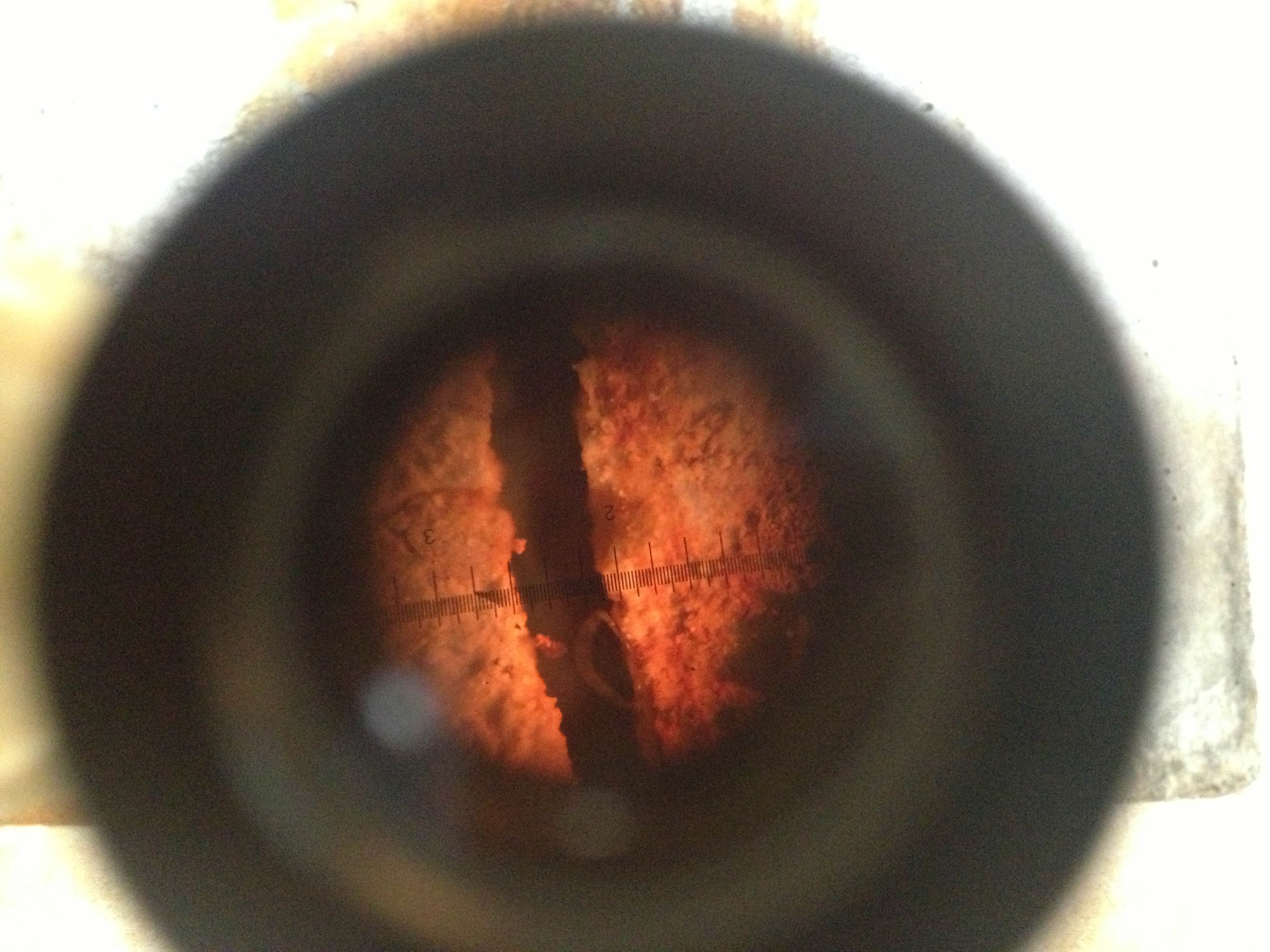 Initial corrosion crack widths (W/C: 0.79) — image 12
