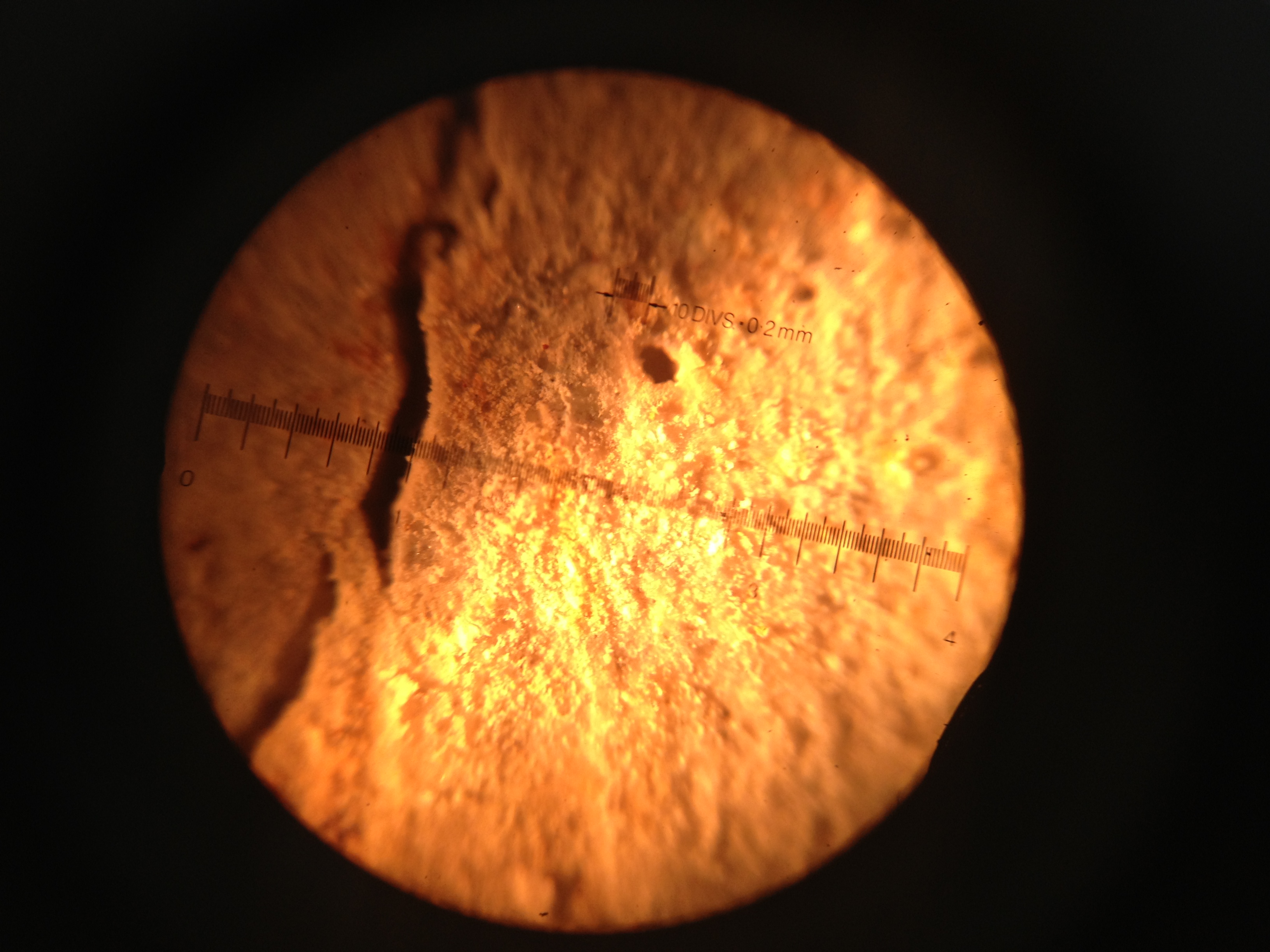 Initial corrosion crack widths (W/C: 0.79) — image 13