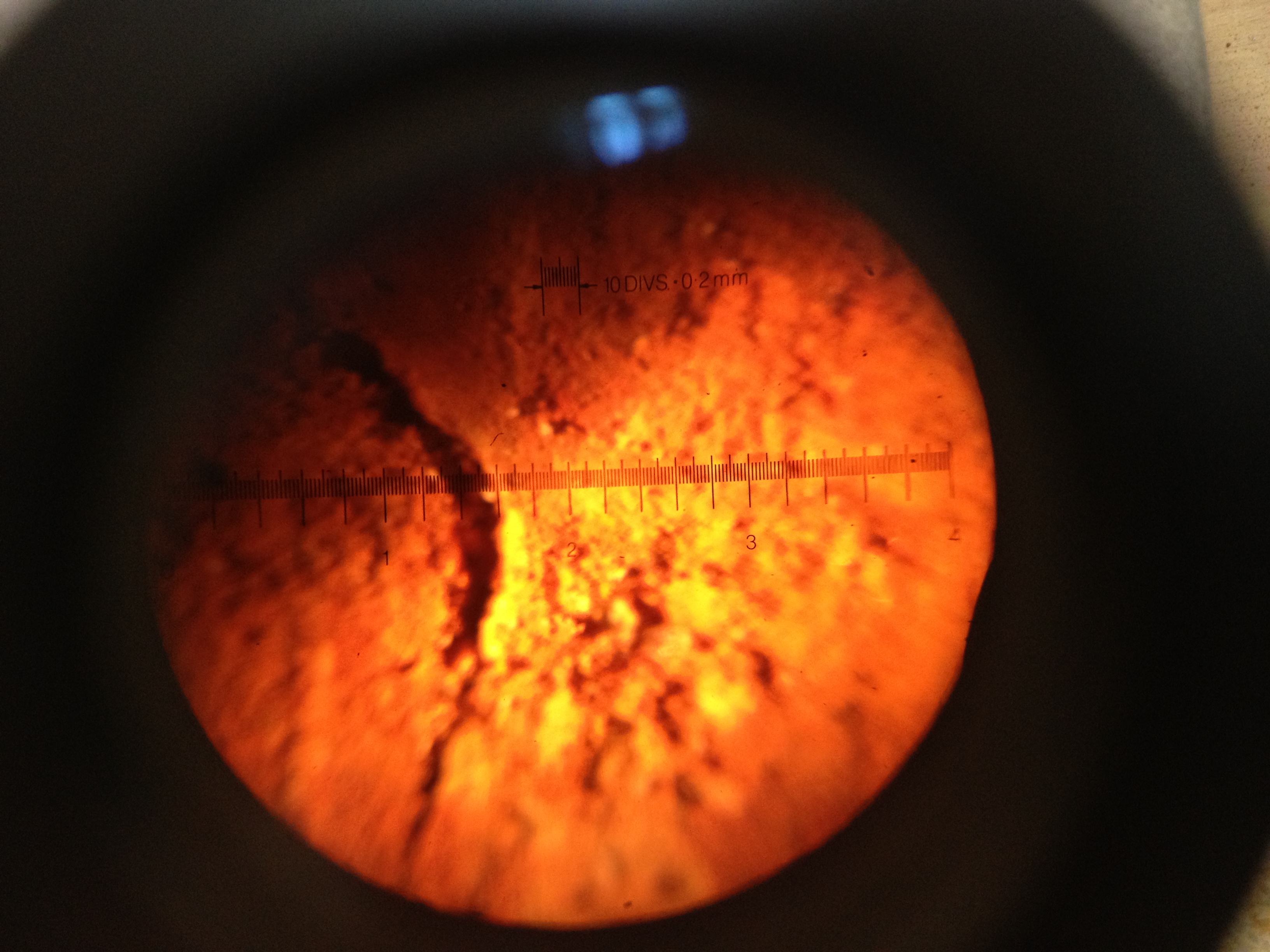 Initial corrosion crack widths (W/C: 0.79) — image 24