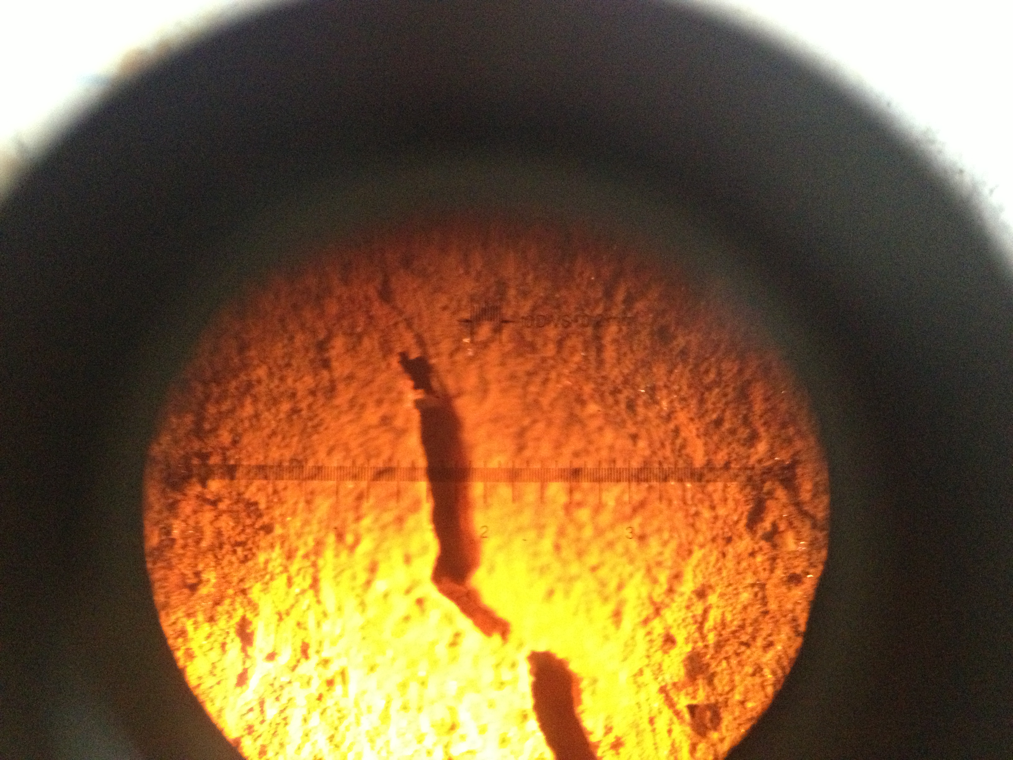 Initial corrosion crack widths (W/C: 0.79) — image 26