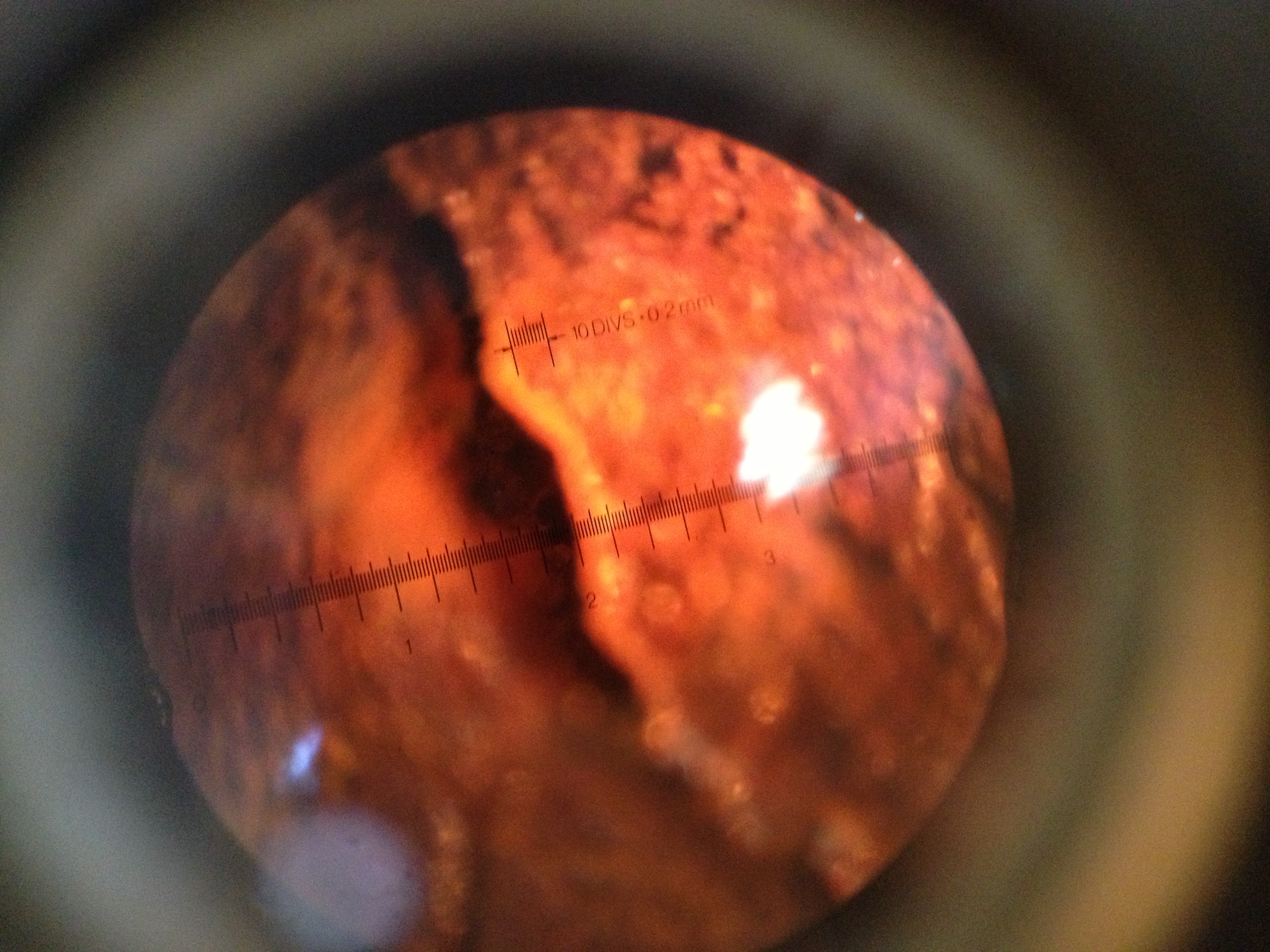 Initial corrosion crack widths (W/C: 0.79) — image 27