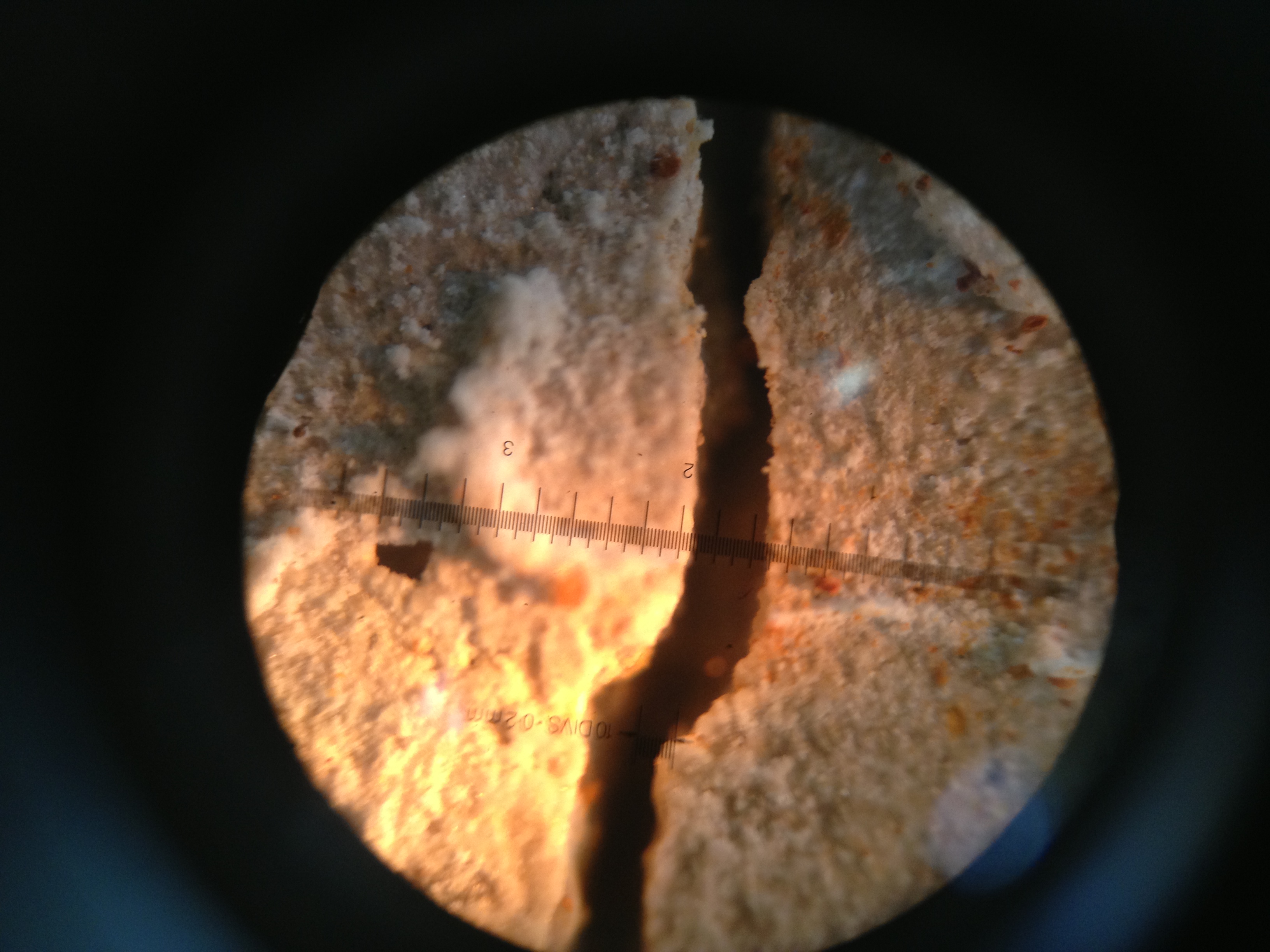 Initial corrosion crack widths (W/C: 0.79) — image 33
