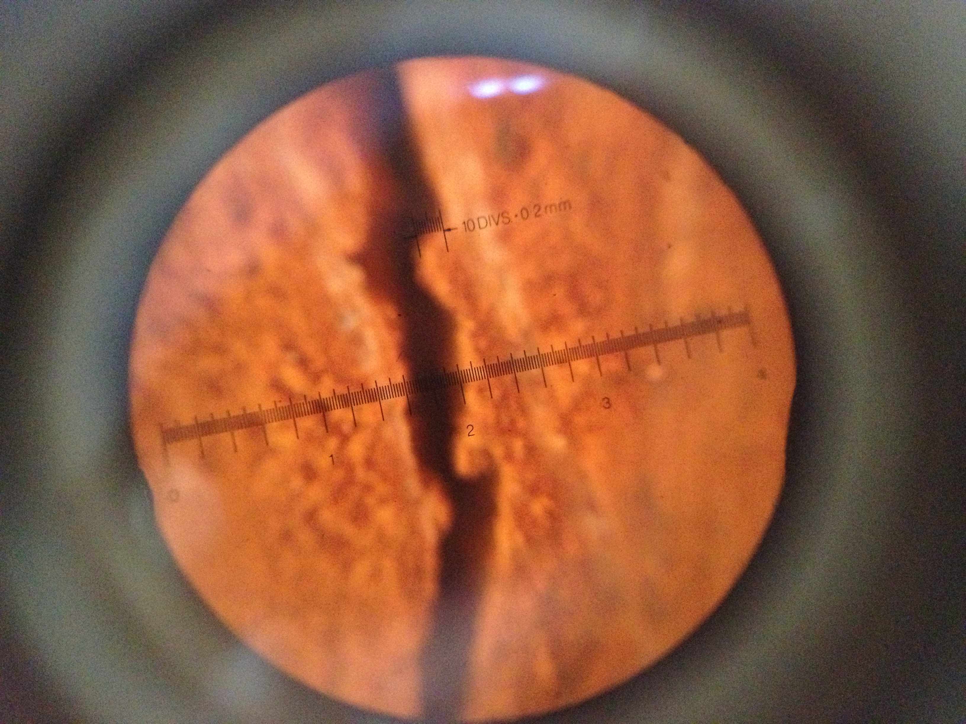 Initial corrosion crack widths (W/C: 0.79) — image 5