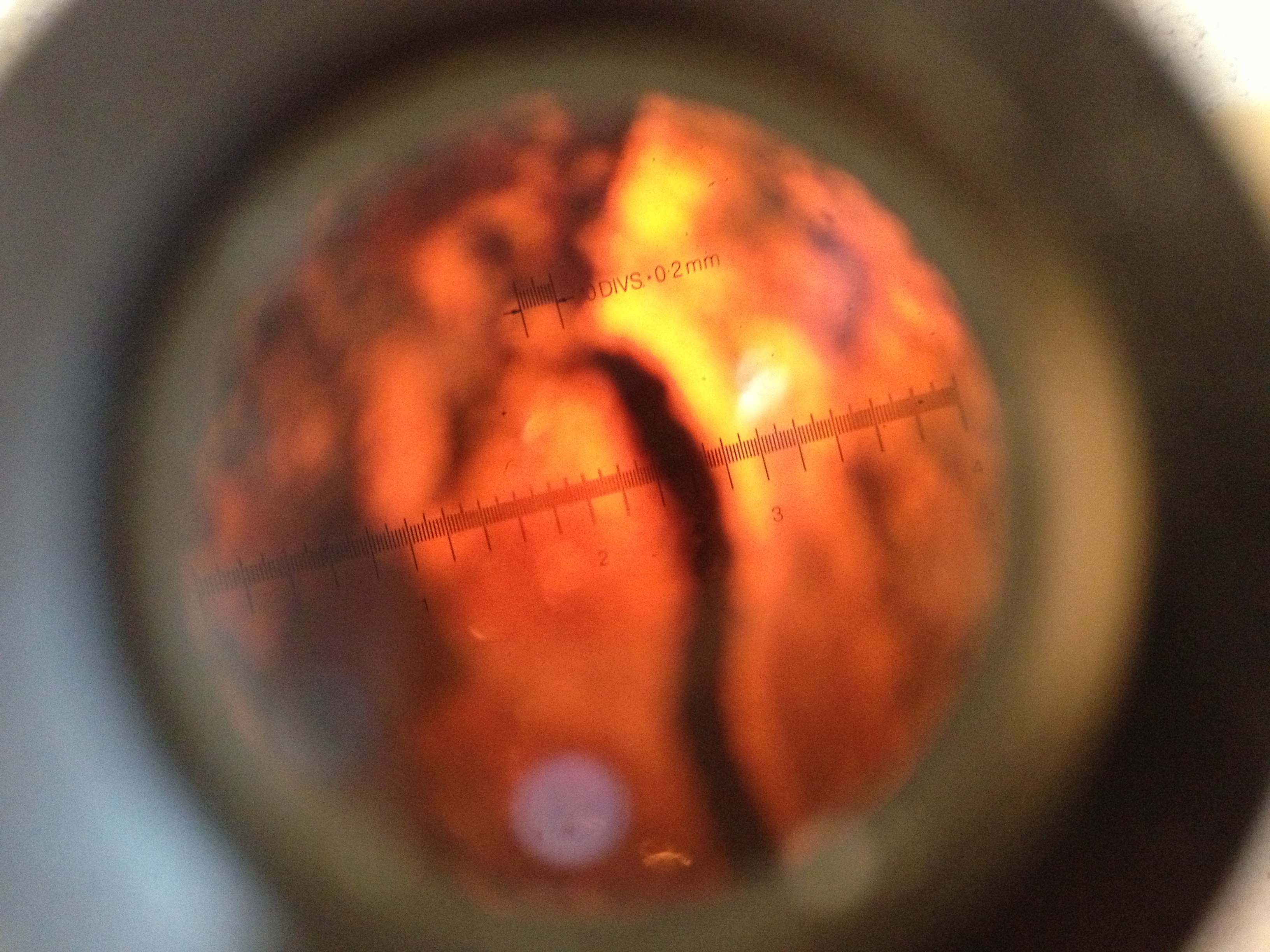Initial corrosion crack widths (W/C: 0.79) — image 52