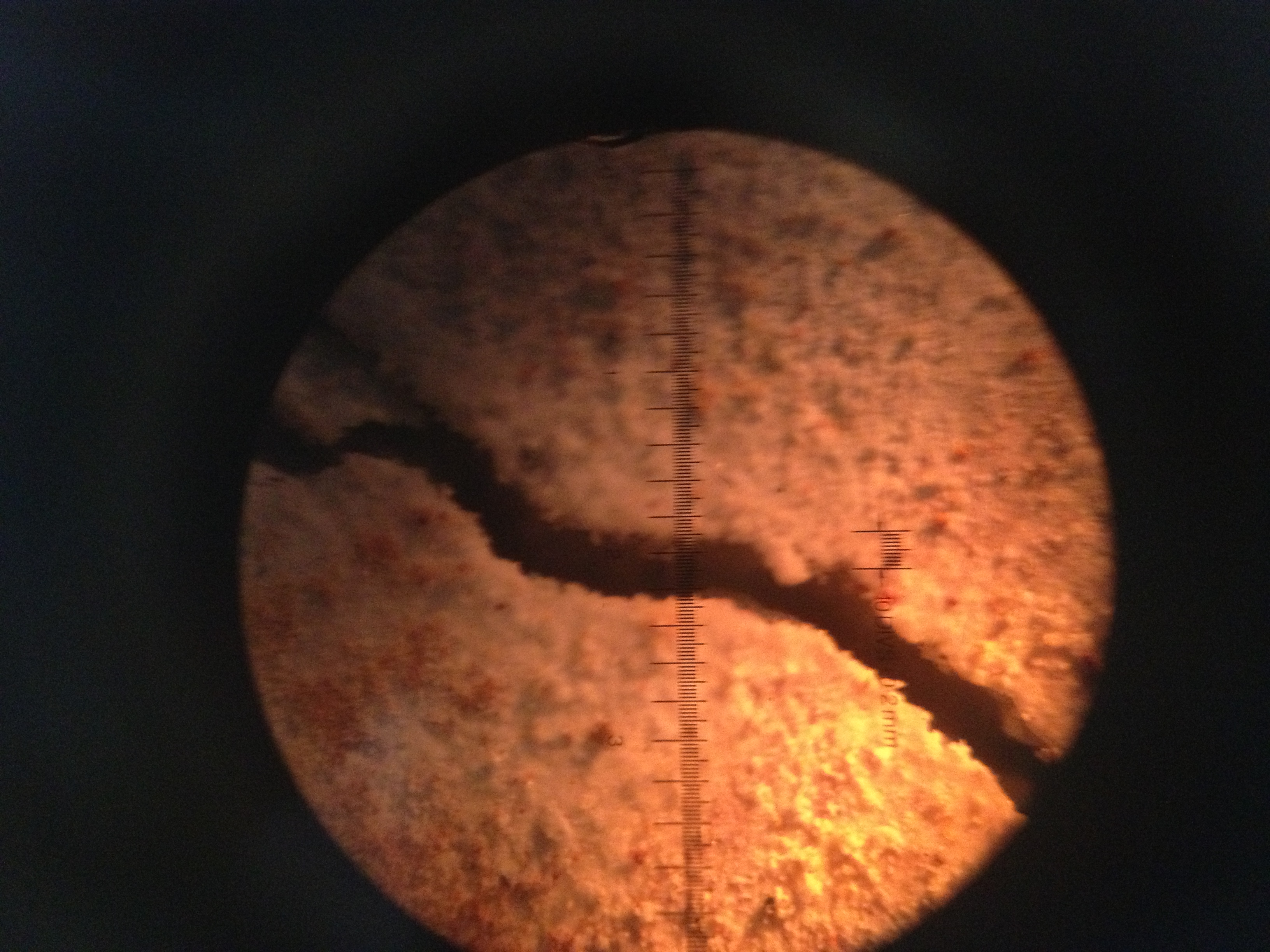 Initial corrosion crack widths (W/C: 0.79) — image 58