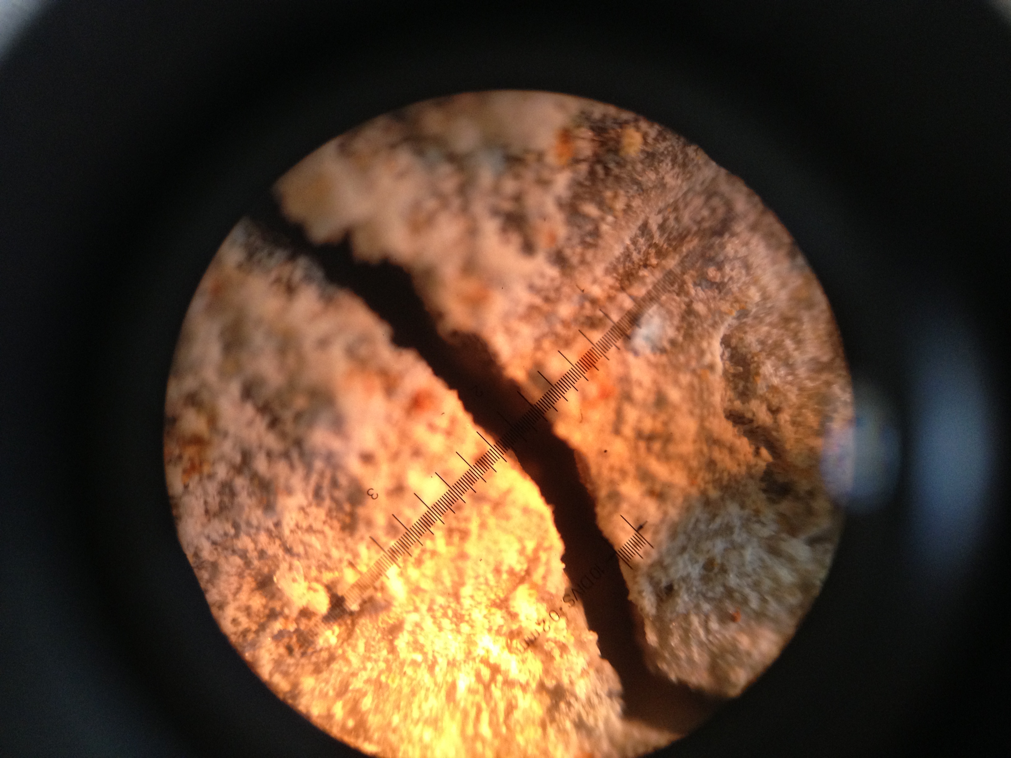 Initial corrosion crack widths (W/C: 0.79) — image 8