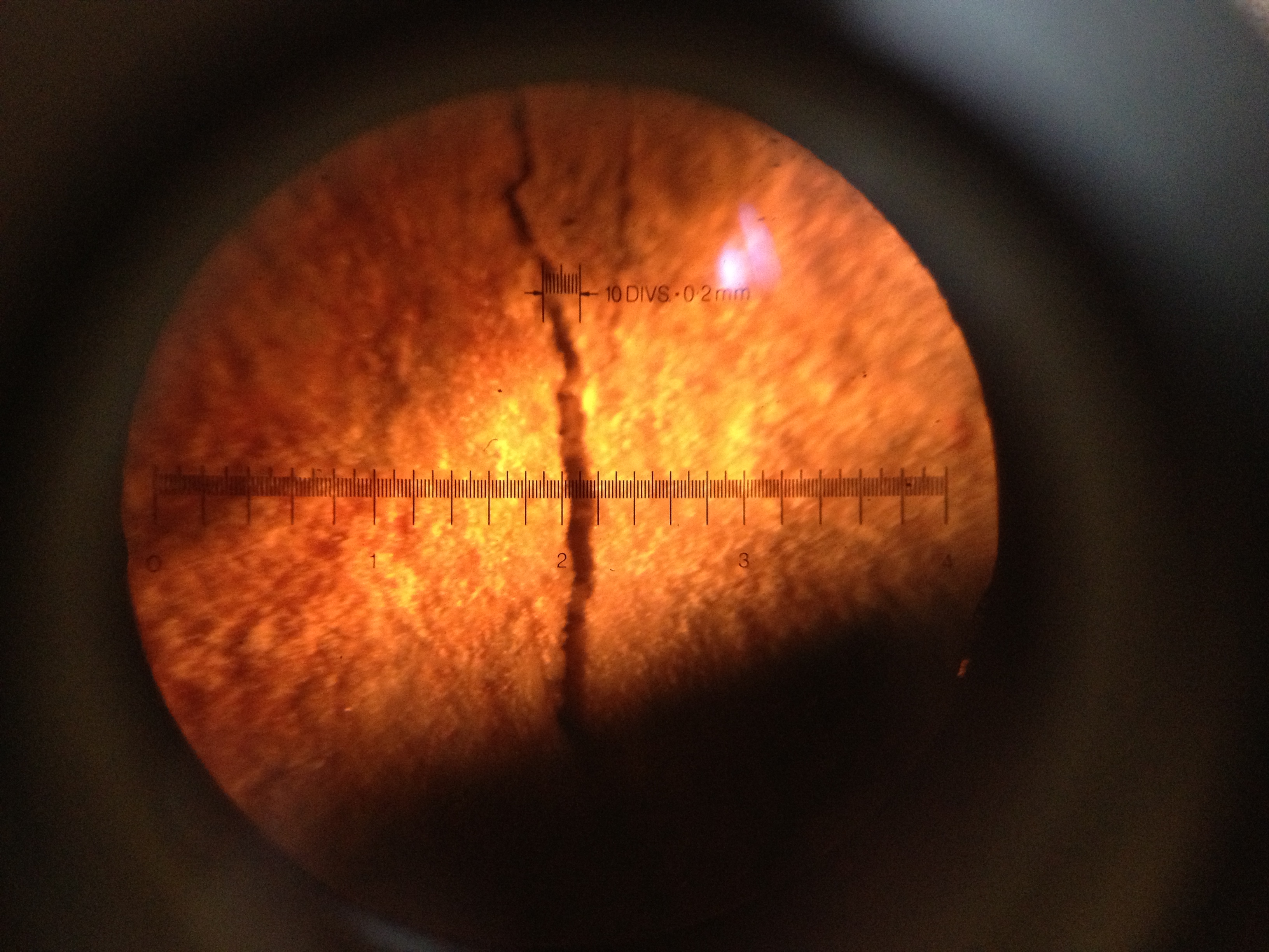 Initial corrosion crack widths (W/C: 0.79) — image 10
