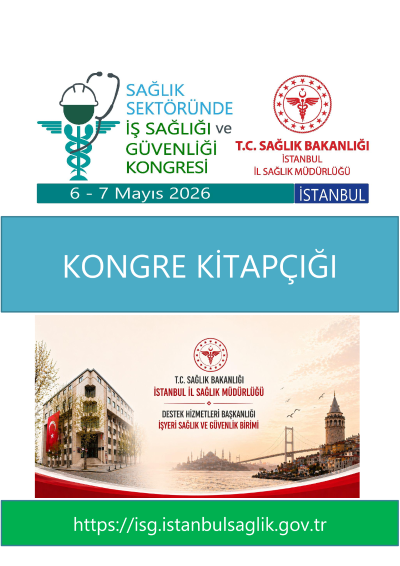 Türkiye Sağlık Sektöründe İş Kazaları ve Meslek Hastalıklarının Epidemiyolojik ve İstatistiksel Analizi: İleri Düzey Bir Modelleme ve Küresel Karşılaştırma (2004-2024) — first page preview